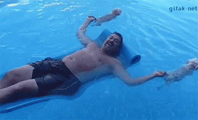 A Shirtless Man Is Laying On A Raft In A Swimming Pool With His Dog . GIF