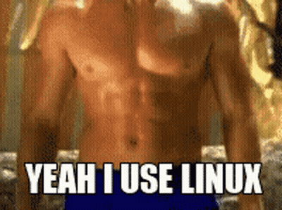 A Shirtless Man Is Standing In Front Of A Mirror And Says Yeah I Use Linux GIF