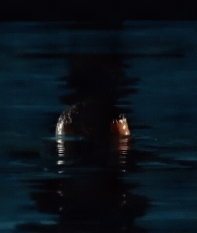 A Shirtless Man With A Beard Is Swimming In A Pool . GIF