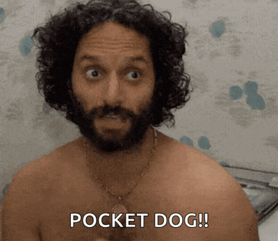 A Shirtless Man With Curly Hair And A Beard Says " Pocket Dog " GIF