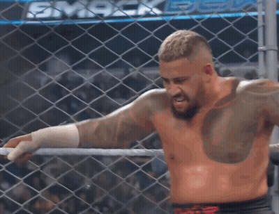 A Shirtless Wrestler In A Cage With The Word Smack On The Back GIF