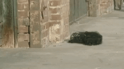 A Sidewalk With A Brick Wall And A Few Cars Parked On It GIF