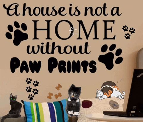 A Sign On A Wall Says A House Is Not A Home Without Paw Prints GIF