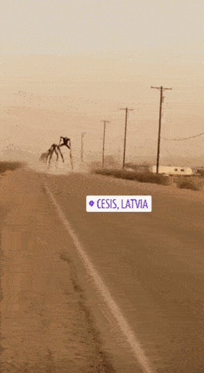 A Sign On The Side Of A Road That Says ' Cesis Latvia ' GIF