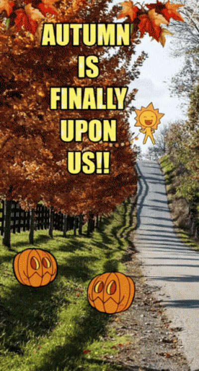 A Sign That Says Autumn Is Finally Upon Us On It GIF