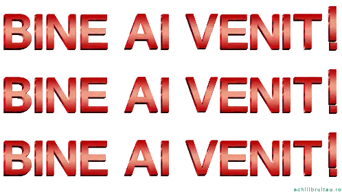A Sign That Says Bine Ai Venit In Red And Gold Sticker