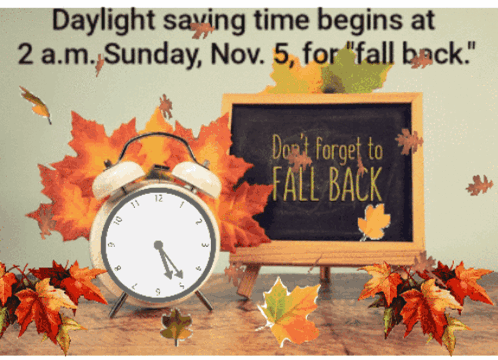 A Sign That Says " Daylight Saving Time Begins At 2 A.m. Sunday Nov 5 For Fall Back " GIF