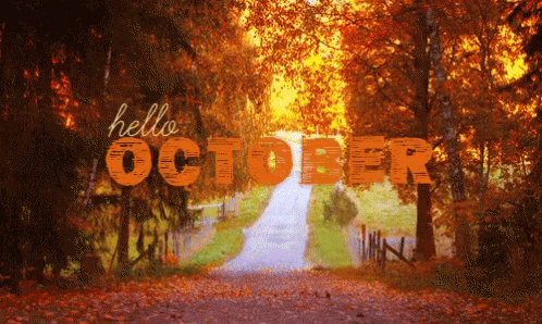 A Sign That Says Hello October Is Surrounded By Trees GIF