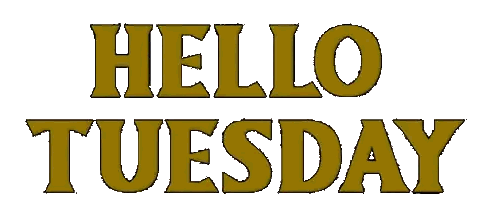 A Sign That Says Hello Tuesday In Gold Letters On A White Background Sticker