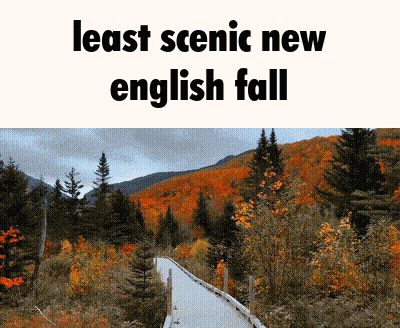A Sign That Says Least Scenic New English Fall With A Picture Of A Forest GIF