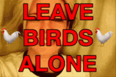 A Sign That Says Leave Birds Alone With Chickens GIF