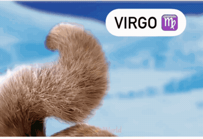 A Sign That Says Virgo On It With A Dog 'S Tail In The Foreground GIF