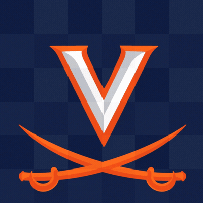 A Sign That Says Vote Early With Two Crossed Swords On It GIF