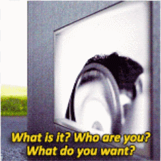A Sign That Says What Is It Who Are You And What Do You Want GIF