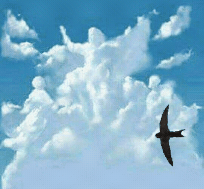 A Silhouette Of A Bird Flying Through A Cloudy Blue Sky GIF