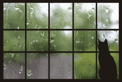 A Silhouette Of A Cat Looking Out A Window With Rain Drops On It GIF
