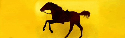 A Silhouette Of A Horse With A Bridle On A Yellow Background GIF