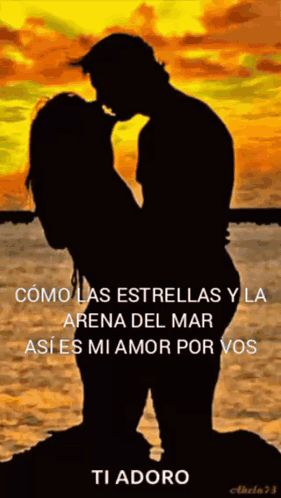 A Silhouette Of A Man And Woman Kissing On A Beach With The Words Ti Adoro Below Them GIF