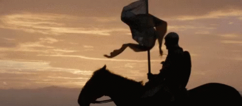 A Silhouette Of A Man Riding A Horse With A Flag GIF
