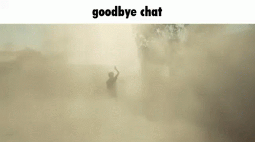A Silhouette Of A Man Standing In A Foggy Field With The Words `` Goodbye Chat '' Above Him . GIF