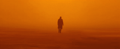 A Silhouette Of A Man Walking In A Foggy Desert GIF