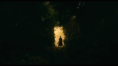 A Silhouette Of A Man With A Beard In The Woods GIF