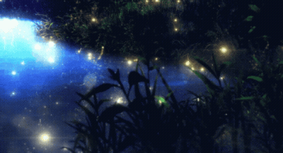 A Silhouette Of A Person In A Dark Forest With A Blue Sky In The Background GIF
