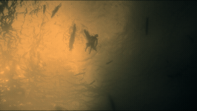 A Silhouette Of A Person In The Water With A Yellow Background GIF