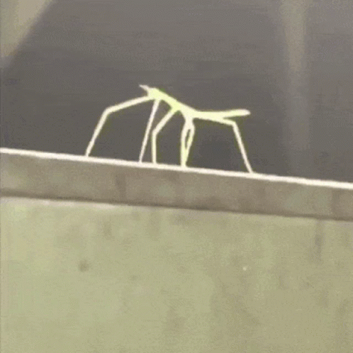 A Silhouette Of A Person Is Standing On A Ledge GIF