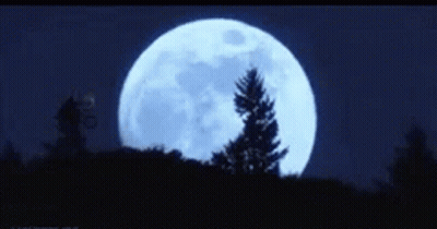 A Silhouette Of A Person On A Bike Flying In Front Of A Full Moon GIF