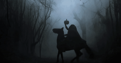 A Silhouette Of A Person Riding A Horse In A Dark Forest GIF