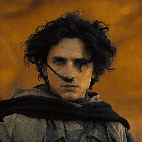 A Silhouette Of A Person Standing In A Field With A Sword GIF