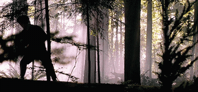A Silhouette Of A Person Walking Through A Forest GIF