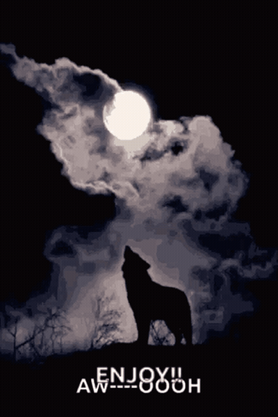 A Silhouette Of A Wolf Howling At A Full Moon With The Words Enjoy Aw Written Below It GIF