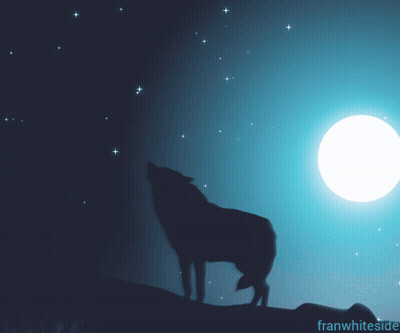 A Silhouette Of A Wolf Howling At The Moon With Franwhiteside Written Below It GIF