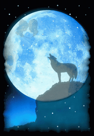 A Silhouette Of A Wolf Howling In Front Of A Full Moon GIF