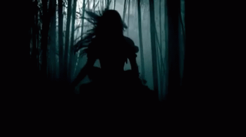 A Silhouette Of A Woman In A Dark Forest . GIF