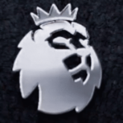 A Silver Lion With A Crown On Its Head Is On A Black Surface . GIF