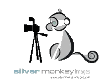 A Silver Monkey Images Logo With A Monkey Taking A Picture With A Camera Sticker