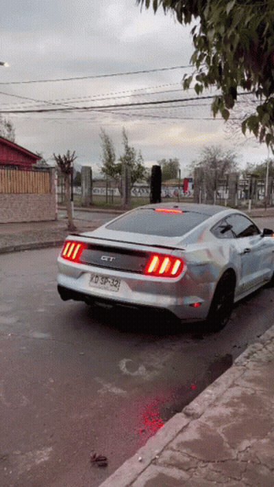 A Silver Mustang With The License Plate Kd Sp-329 GIF