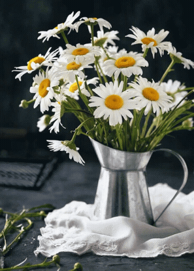 A Silver Pitcher Filled With Daisies Sits On A White Cloth GIF