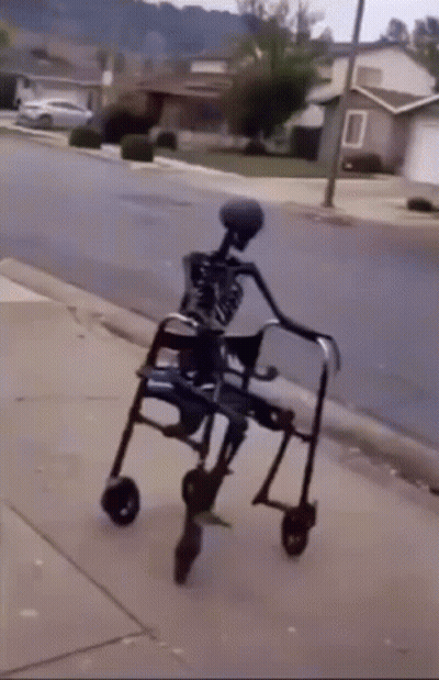 A Skeleton In A Walker Is Walking Down The Sidewalk . GIF