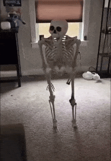 A Skeleton Is Dancing In A Living Room In Front Of A Window . GIF