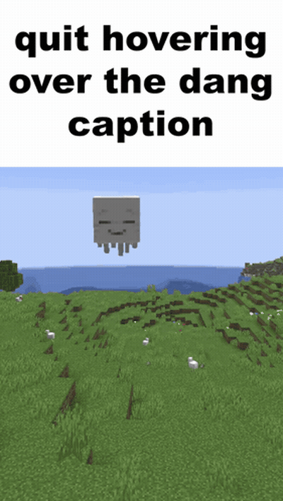 A Skeleton Is Flying Over A Grassy Field In A Minecraft Game GIF