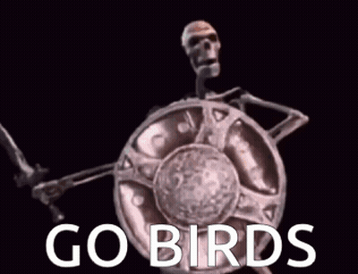 A Skeleton Is Holding A Sword And Shield With The Words `` Go Birds '' Written Above It . GIF