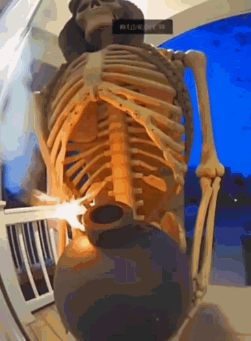 A Skeleton Is Holding A Vase With A Light Coming Out Of It . GIF