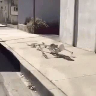 A Skeleton Is Laying On The Sidewalk On A Sidewalk . GIF