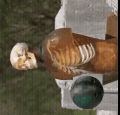 A Skeleton Is Sitting On A Table Next To A Bowling Ball And A Bottle . GIF
