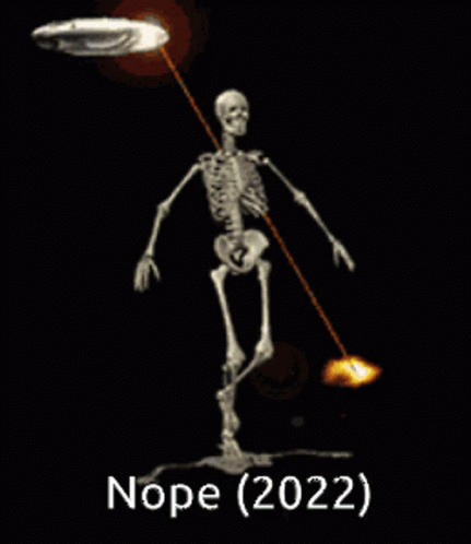 A Skeleton Is Standing In Front Of A Fire And A Frisbee With The Words Nope ( 2022 ) Below It GIF