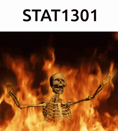 A Skeleton Is Standing In Front Of A Fire With The Words Stat1301 Above Him GIF
